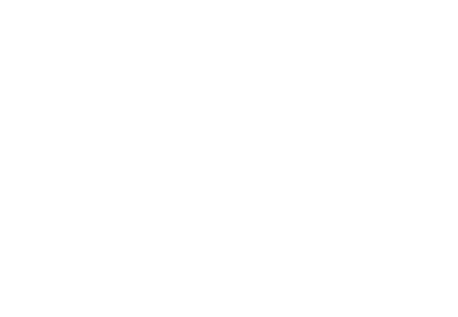Alberto Barollo Real Estate